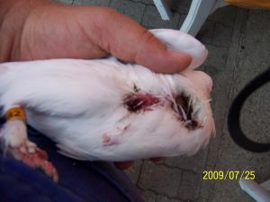bild1